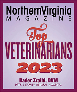 Top Veterinarian 2023