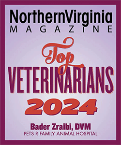 Top Veterinarian 2024